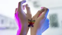 స్వలింగ సంపర్కుల వివాహాలు