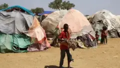 Soomaali badan ayaa ku tiirsan gargaarka hay'adda USAID