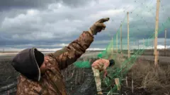 Двоє військових ЗСУ натягують антидронову сітку на стовпи на дорозі