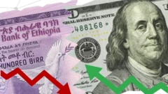 የኢትዮጵያ መገበያያ ገንዘብ ከአሜሪካ ዶላር ጋር በትይዩ