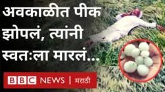 गारपीट 