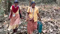 ஆஷா பணியாளர்கள், நீலகிரி, முக்கிய செய்திகள் 