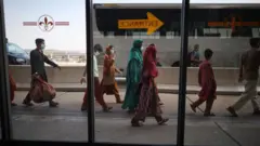 افغان کډوال د دالاس هوايي ډګر کې