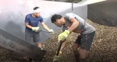 శ్రీకాకుళం