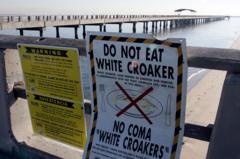 Un cartel en el muelle pesquero de Cabrillo en San Pedro dice que no se coma la corvina blanca que se pueda pescar allí.
