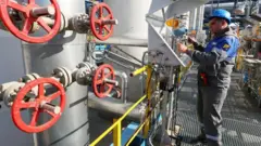 Doğal gaz 
