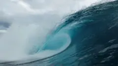 ప్రపంచంలోని మహా సముద్రాల్లో 21 శాతం నల్లగా మారినట్లు తాజా అధ్యయనం ఒకటి గుర్తించింది. 