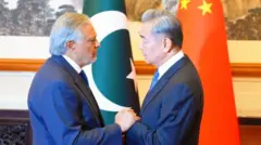 پاکستانی وزیر خارجہ اسحاق ڈار اور چینی وزیر خارجہ وانگ ژی
