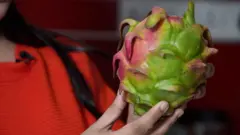 টনিক দেওয়া ড্রাগন ফল