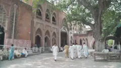 عدالت