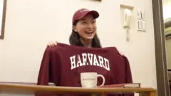 harvard