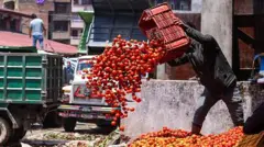 ટમેટાંના ભાવ 