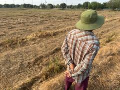 "กระดูกสันหลังของชาติ ตอนนี้มันเปราะหมดแล้ว" ความเดือดร้อนชาวนาไทย หลังขาดทุนอ่วมจากพิษน้ำมัน-ปุ๋ย ขึ้นราคา