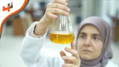 تحويل مشكلة بيئية كبرى إلى حل طاقي مستدام ومفيد