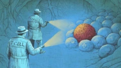 डैमेज सेल्स की तस्वीर