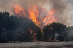 Incendio en carretera M-206