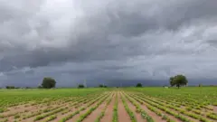 ગુજરાતમાં ચોમાસું, 