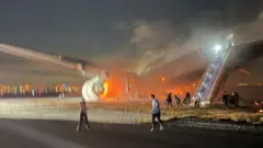 pesawat japan airlines