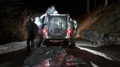 ماموران جنگل با کمک سگ‌هایشان خرس را به دام انداختند
