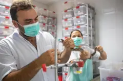 Breno e Milena com uma cobra na mão