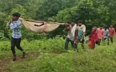 બીબીસી ગુજરાતી છોટા ઉદેપુર મહિલા આરોગ્ય ડૉક્ટર પ્રસૂતિ ગર્ભવતી મહિલા તુરખેડા આદિવાસી