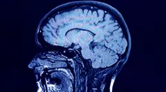 மனித மூளை முதிர்ச்சி அடைவதைத் தடுக்க வழி தேடும் விஞ்ஞானிகள் - என்ன கிடைத்தது?