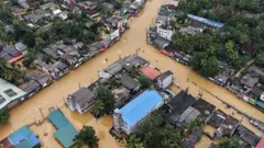 இலங்கை, திட்வா புயல், பொருளாதார பாதிப்பு