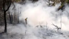 Buca'da bir orman işçisi yanmış bir alanın önünde, elleri belinde duruyor.