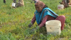 ਵਿੱਤ ਮੰਤਰੀ ਹਰਪਾਲ ਸਿੰਘ ਚੀਮਾ ਨੇ ਆਖਿਆ ਕਿ ਸੂਬਾ ਸਰਕਾਰ ਸਿਰ ਹੁਣ ਕਰਜ਼ੇ ਦਾ ਬੋਝ 4 ਲੱਖ ਕਰੋੜ ਨੂੰ ਛੂਹ ਗਿਆ ਹੈ (ਸੰਕੇਤਕ ਤਸਵੀਰ)