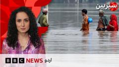کیا پاکستان میں سیلاب کی وجہ سے خوراک کی قلت پیدا ہو سکتی ہے؟
