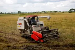 မြန်မာမှာတွေ့ရတဲ့ လယ်ယာလုပ်ငန်းခွင်တစ်ခု (ပုံဟောင်း)