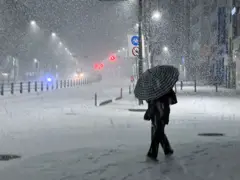 폭설이 내리는 거리