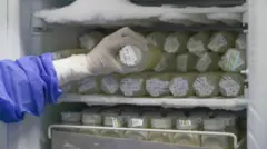 Uma mão enluvada tira do congelador mamadeiras com leite materno armazenadas nas instalações do Banco de Leite Humano do Uruguai, no hospital Pereira Rossell, em Montevidéu, Uruguai