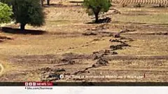 ငလျင်ကြောင့် စိုက်ပျိုးမြေ ဟက်တာ သန်းနဲ့ချီ ပျက်စီးနိုင်