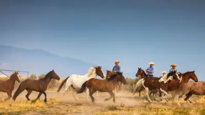 Vaqueros en Utah. 