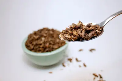 Cuchara llena de insectos