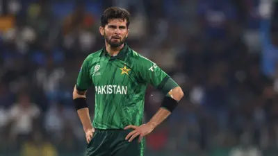 शाहीन शाह अफरीदी