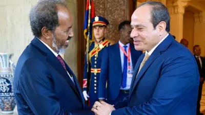 Le président égyptien Abdul Fattah al-Sisi (à droite) accueille le président somalien Hassan Sheikh Mohamud (à gauche) au Caire, en Égypte, en janvier 2024.