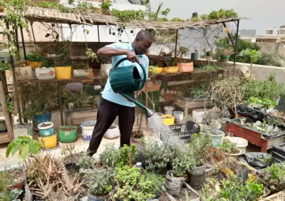 Abdou Touré arrose ses plantes