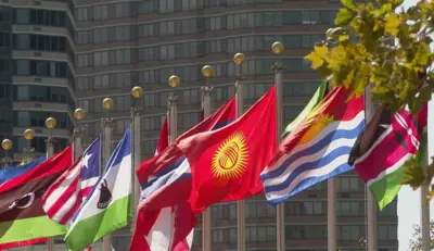 kyrgyz flag
