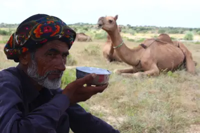 ਸਟੀਲ ਦੇ ਕੌਲੇ ਵਿੱਚ ਊਠਣੀ ਦਾ ਦੁੱਧ ਪੀਂਦਾ ਹੋਇਆ ਇੱਕ ਵਿਅਕਤੀ