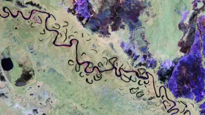 El nuevo satélite revela una impresionante variedad dentro del paisaje de la selva tropical.