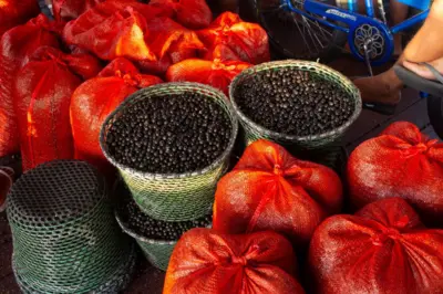 Sacos de açaí