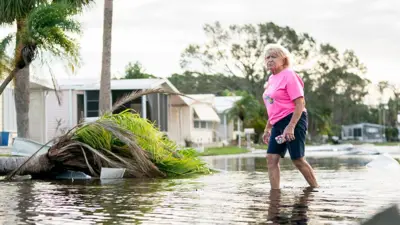 A woman wearing pink top and blue shorts wades through floodwater next to a felled tree on a street in Osprey, Florida on Thursday