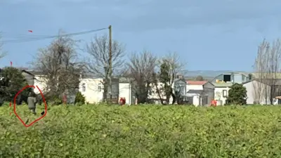 foto de uma pessoa caminhando de costas, numa paisagem de casas e folhagens. 