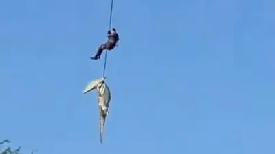 A grainy screen grab showing a rope with a crocodile on the end with a man holding on higher up