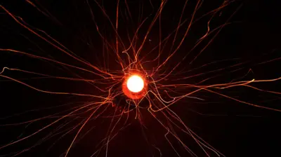 न्यूक्लियर फ़िज़न
