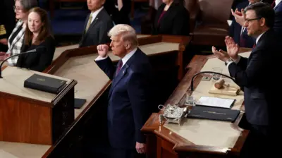 President trump is seen in an aerial view in the House chamber with his fist in the air. He is wearing a blue suit and Mike Johnson stands above him applauding.