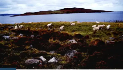 جزيرة غرينارد قبالة سواحل اسكتلندا أخفت أسرارها نصف قرن تقريبا