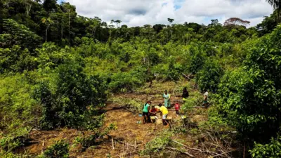 Crianças e adultos de uma mesma família trabalham em uma área de cultivo aberta na floresta amazônica